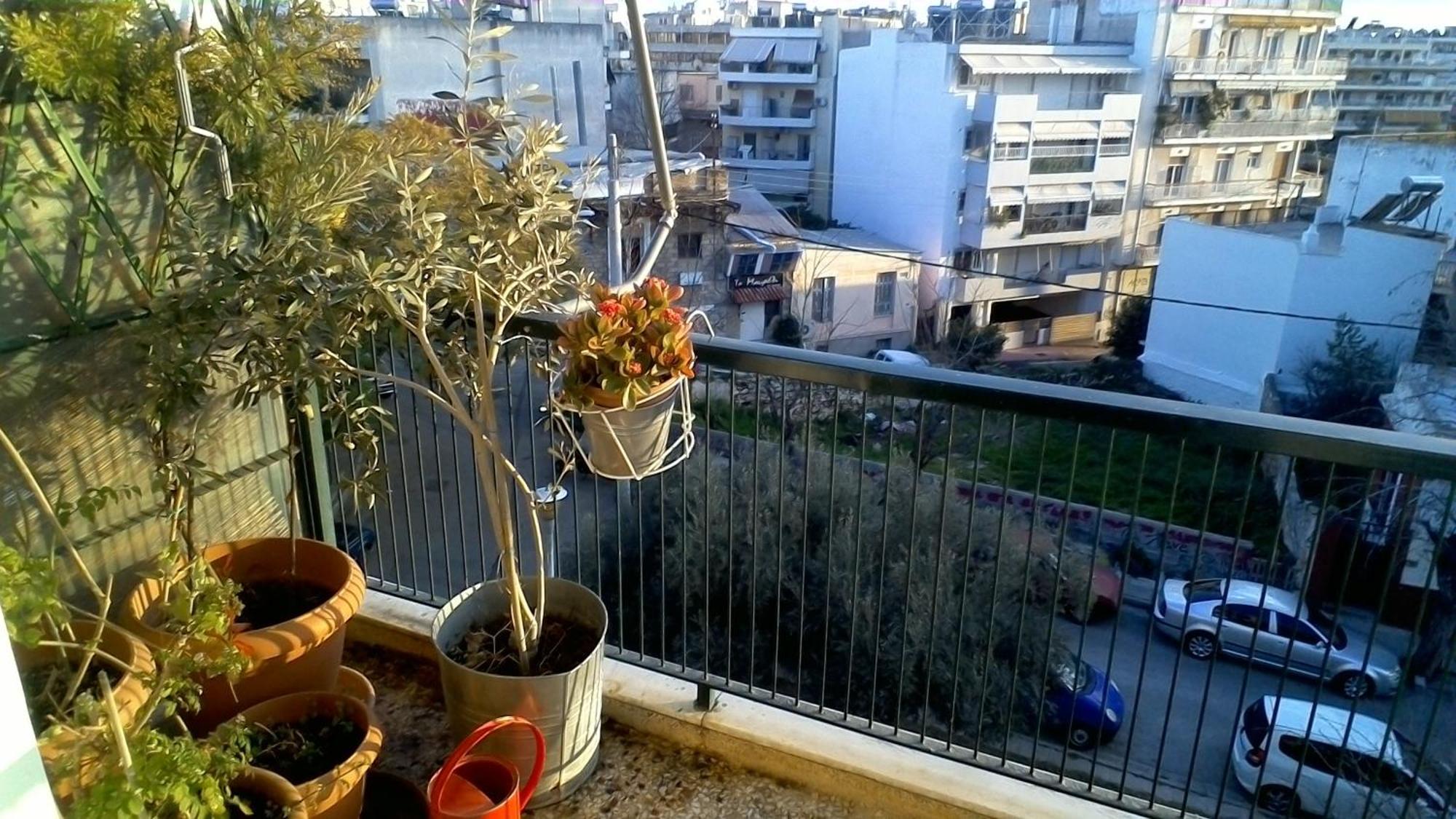 On Foot To Acropolis Cozy Apartment Athen Eksteriør bilde